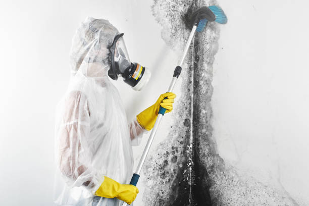 Best Mold-Related Health Consultation  in Mount Gilead, OH
