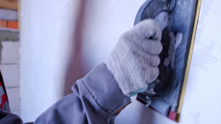 Best Black Mold Removal  in Mount Gilead, OH