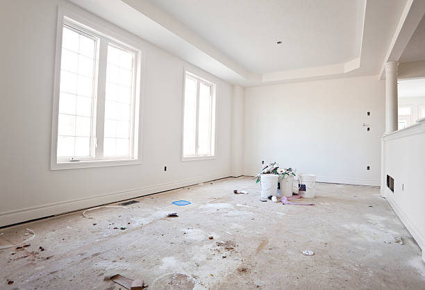 Best Attic Mold Removal  in Mount Gilead, OH